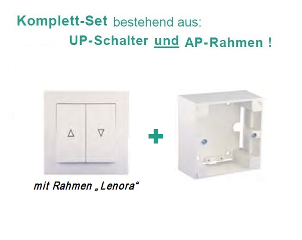 WTS - Doppel-Wipp-Schalter mit Rast / Taster ohne Rast mit Rahmen Lenora AP/UP Set