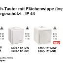 WTS - Einfach-Taster (Impulstaster) AP , mit Schlüsselsymbol - IP 44 